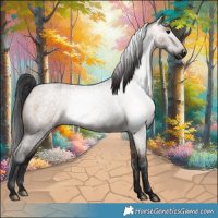 Horse Color:Gray Bay Roan Dun 
