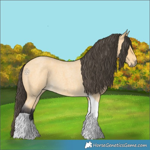 Horse Color:Buckskin Roan Tobiano 