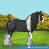 Horse Color:Black Splash Tobiano