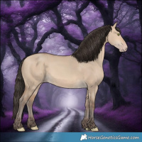 Horse Color:Amber Champagne Dun 