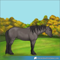 Horse Color:Smoky Grullo 