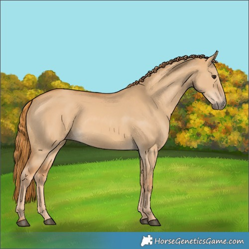 Horse Color:Red Dun 