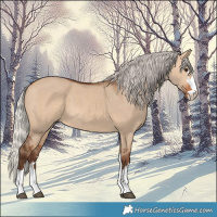 Horse Color:Silver Bay Dun 