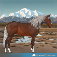 Horse Color:Silver Brown 