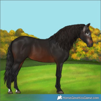 Horse Color:Gray Brown 