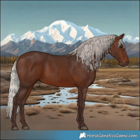 Horse Color:Silver Bay 