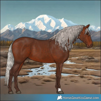 Horse Color:Silver Bay 