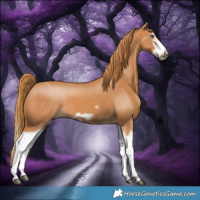 Horse Color:Chestnut Splash Frame 