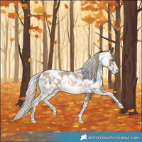 Horse Color:Chocolate Palomino Pearl Sabino Varnish Rabicano and Gray Chocolate Palomino Pearl Sabino Varnish Rabicano