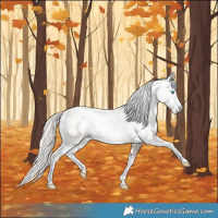 Horse Color:Chocolate Palomino Pearl Sabino Appaloosa Rabicano  and Gray Chocolate Palomino Pearl Sabino Appaloosa Rabicano 