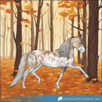 Horse Color:Chocolate Palomino Pearl Sabino Varnish Rabicano and Gray Chocolate Palomino Pearl Sabino Varnish Rabicano