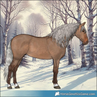 Horse Color:Silver Brown Dun