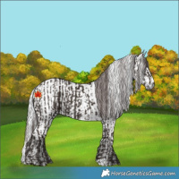 Horse Color:Liver Chestnut  and Liver Chestnut Chinchilla 