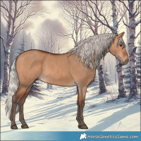 Horse Color:Silver Bay Dun 