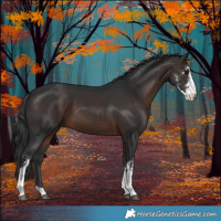 Horse Color:Brown Sabino 