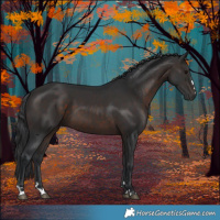 Horse Color:Brown 