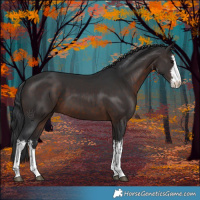 Horse Color:White Spotted Brown 