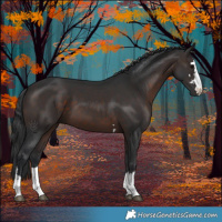 Horse Color:Brown 