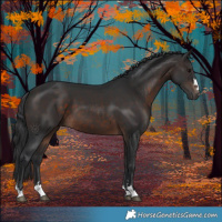 Horse Color:Brown 