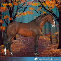 Horse Color:Brown Sabino 