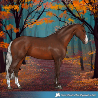 Horse Color:Silver Brown Sabino 