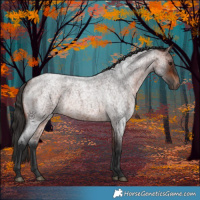 Horse Color:Bay Roan 