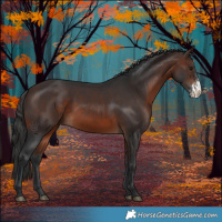 Horse Color:Brown Sabino 