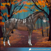 Horse Color:Powder White Brown Rabicano and Powder White Bay Rabicano