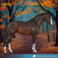 Horse Color:Brown 