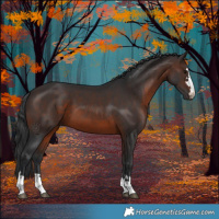 Horse Color:Brown 