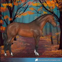 Horse Color:Bay Tobiano 