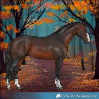 Horse Color:Brown 