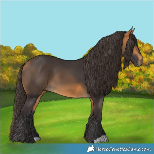 Horse Color:Buckskin 