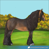 Horse Color:Buckskin 