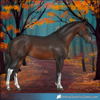 Horse Color:White Spotted Brown 