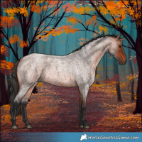Horse Color:Bay Roan 