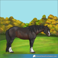 Horse Color:Brown 