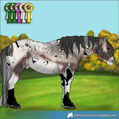 Horse Color:ERROR: UNKNOWN ANOMALY