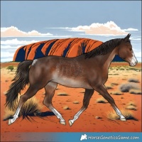 Horse Color:Liver Chestnut Rabicano 