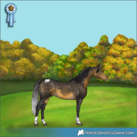 Horse Color:Buckskin Tobiano 