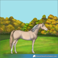 Horse Color:Perlino Tobiano Rabicano