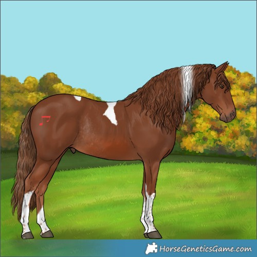 Horse Color:Chestnut Tobiano Rabicano 