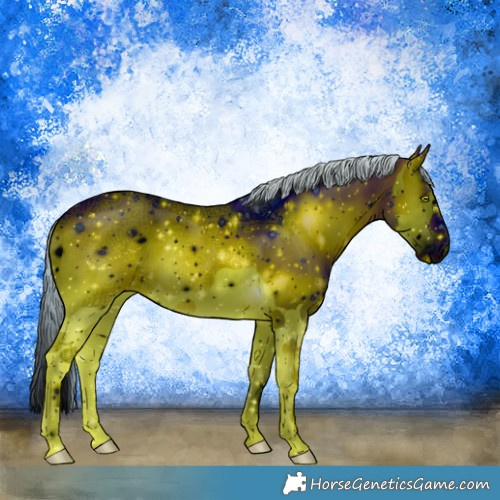 Horse Color:ERROR: UNKNOWN ANOMALY
