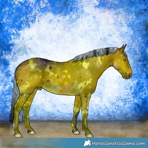 Horse Color:ERROR: UNKNOWN ANOMALY
