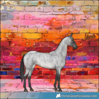 Horse Color:Smoky Blue Roan Rabicano 