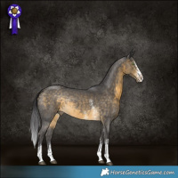 Horse Color:Buckskin Sabino Rabicano 