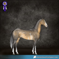Horse Color:Buckskin Sabino Rabicano