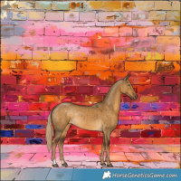 Horse Color:Chocolate Palomino Dun Rabicano 
