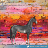 Horse Color:Black Sabino Rabicano 