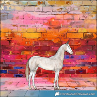 Horse Color:Chocolate Palomino Roan Splash Rabicano 